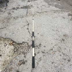 Master 15ft Fishing Pole 🎣 