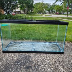 90 Gallon Fish Tank 