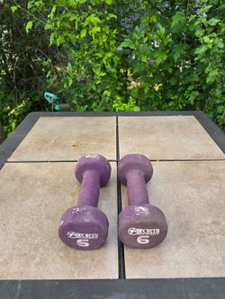6 Pound Hand Weights