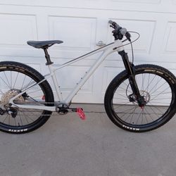 Giant medium cheap size frame