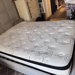 F R E E MATTRESS ! !