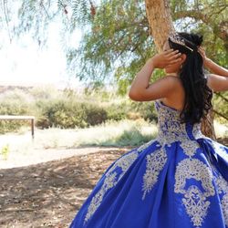 Royal blue Quince Dress