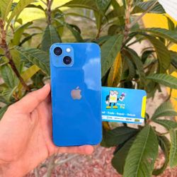 iPhone 13