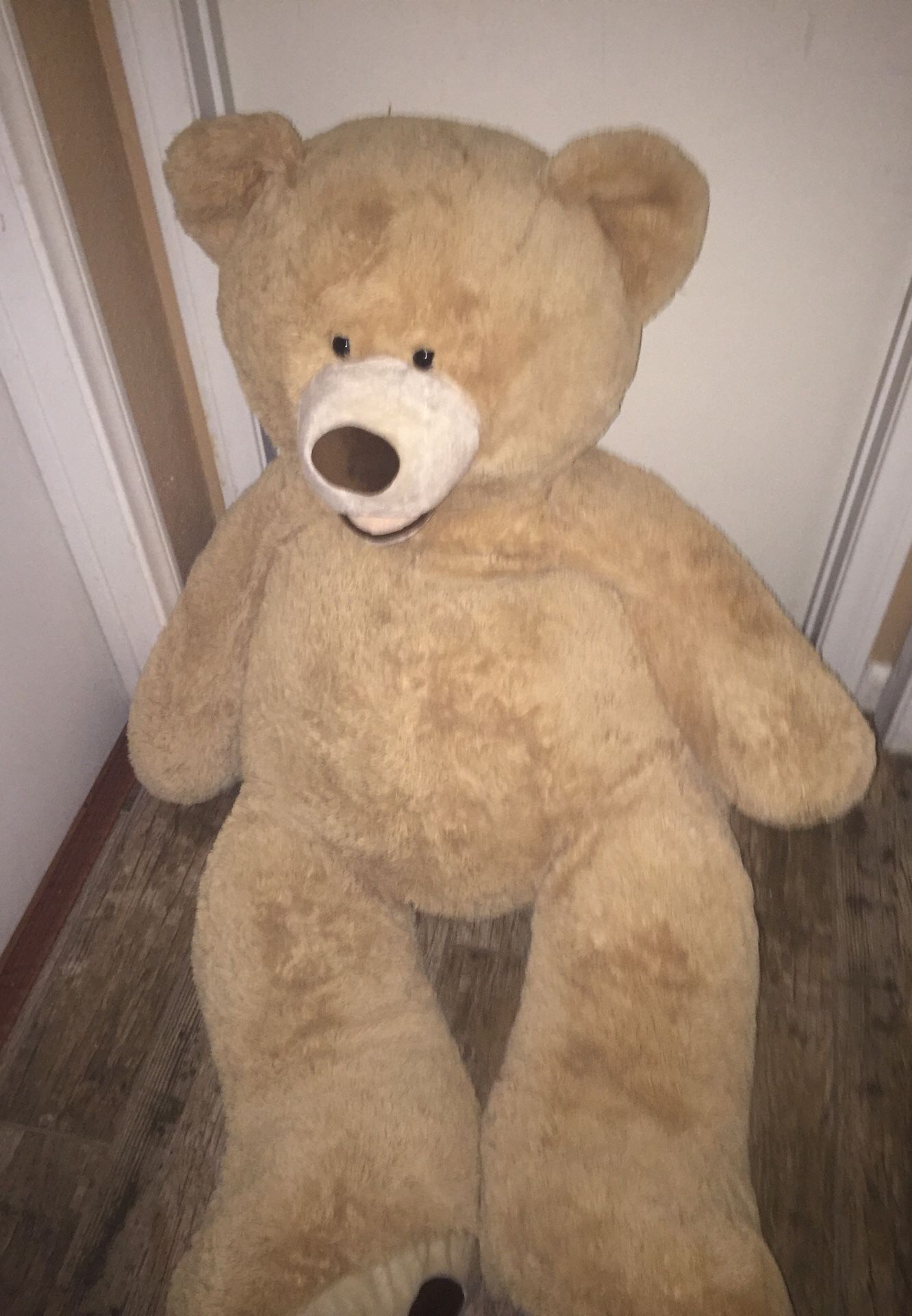 Brand New Giant Teddy Bear