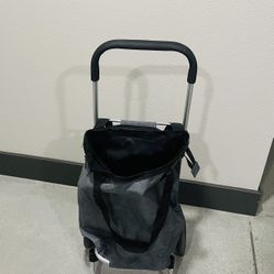 Grocery Caddy - Big Bag On Rollers