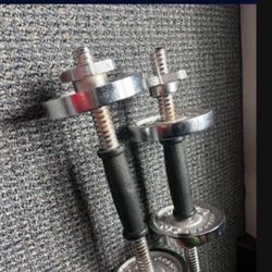 Weights 6 Pound Each