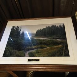 Jim Brandenburg Wilderness Creek In The Rain Framed Signed 32 X 24 Print