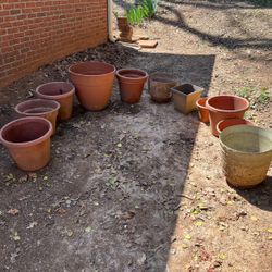 Plant Pots (19 Total!)