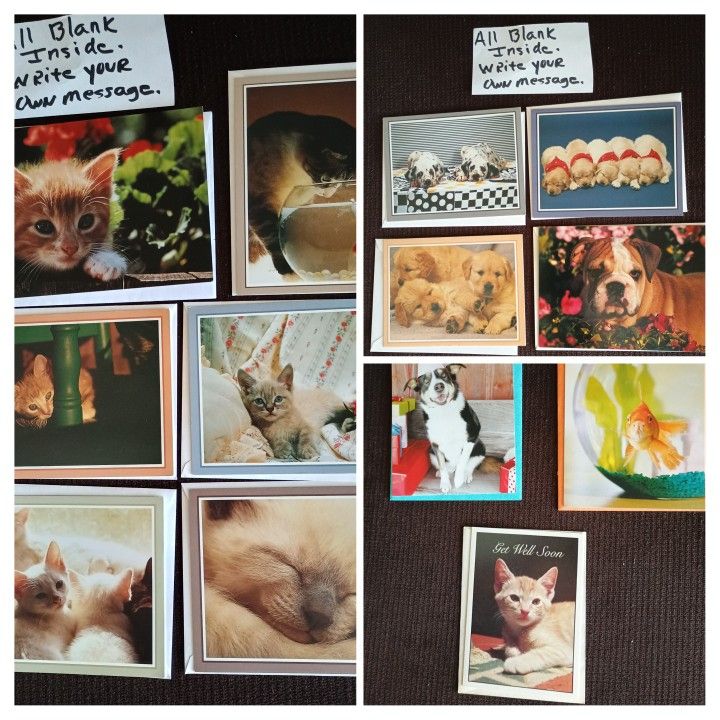 13 Animal Themed Greeting Cards