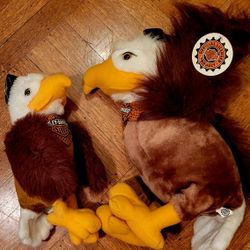 Harley Davidson Screamin Eagles