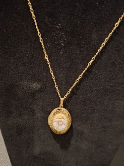 Vintage Rose Cameo Locket Nexklace