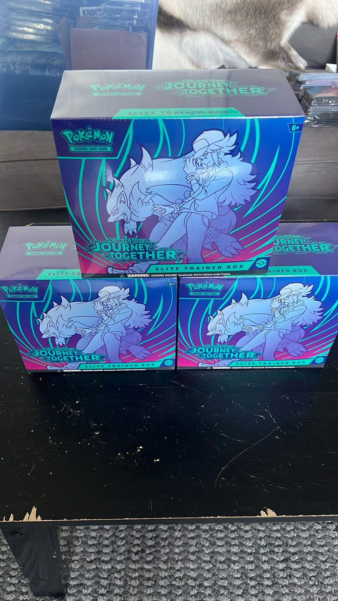 Pokemon Journey Together Etb 