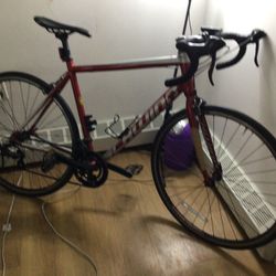 Schwinn Schwinn Fastback Bike