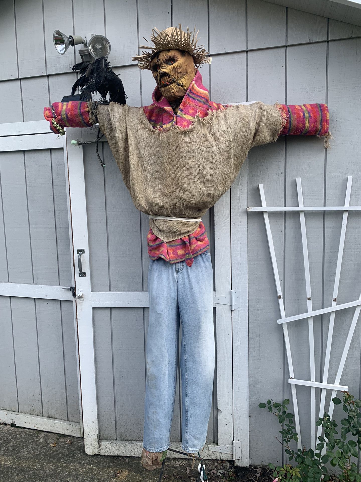 Life Size Scare Crow 