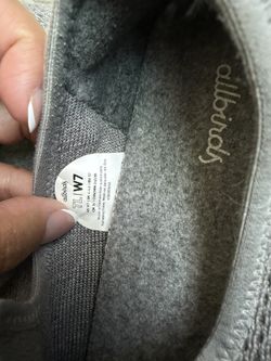 AllBirds Shoes