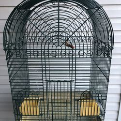 Bird cage