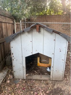 Large dog house 4 feet toll 4 feet wide very big house