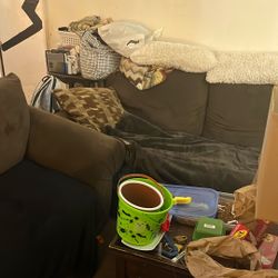 Couch For Sale Make Offer No Smell Clean. 
