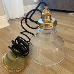 New In Box Clear Glass & Satin Brass Pendant Light (Paid $250+)