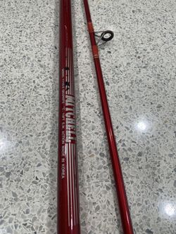 Mitchell fishing rod 10FT!!!!