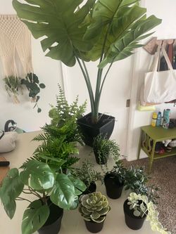11 Fake plants bundle various sizes