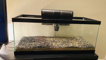 Fish Tank