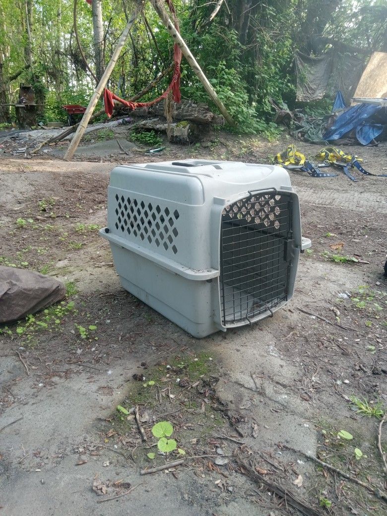 Kennel