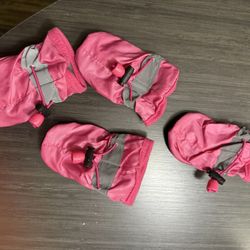 Small Dog Shoes