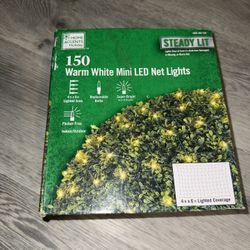 4*6. Christmas Net Lights 