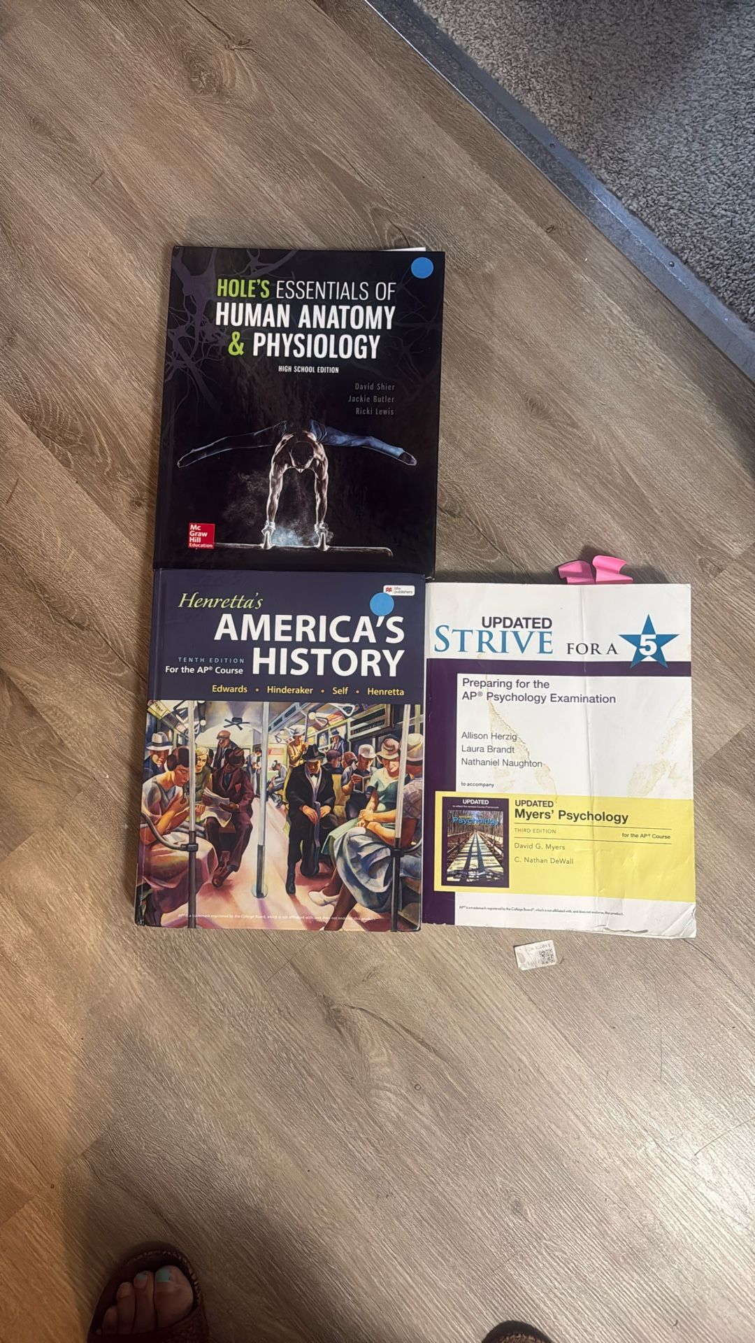 Human Anatomy And Physiology, American History And Update Strive For A 5 Physiology, Examination Book