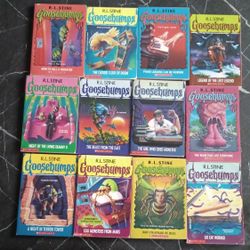 Goosebumps Book Lot