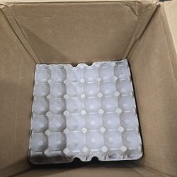 Egg carton flats