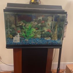 Fish  Tank