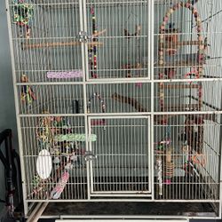 Bird Cage