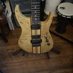 Allen Eden Guitar W/ Floyd Rose Bridge, Duncan Pickup, And Locking Tunner