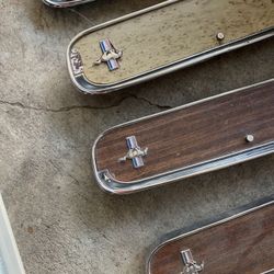 1965 mustang fastback 🐍