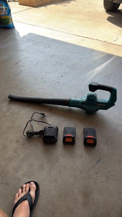 20V cordless leaf blower w/ 2 batteries and charger