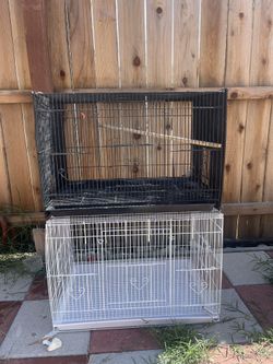Bird Cage/Jaula