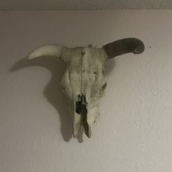 Red Bull Skull - Rustic Western Wall Decor
