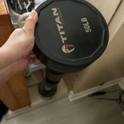 50 LB EZ Curl Barbell