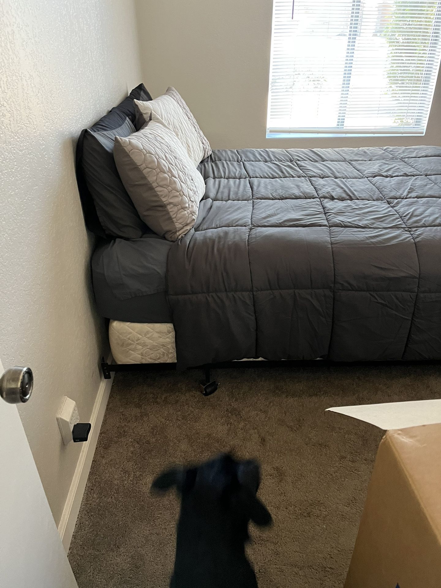 Queen Bed, Box Spring, Frame for Sale in Chandler, AZ OfferUp