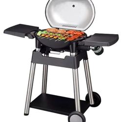 LIQUID PROPANE GAS GRILLED