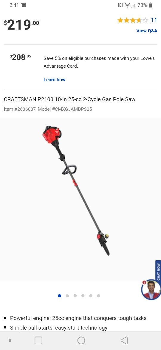 Craftsman P2100 Pole Saw