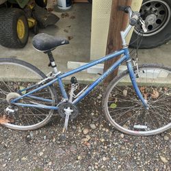 Trek 21 Speed Road Bike