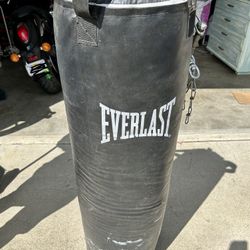 Everlast Punching Bag