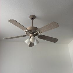 Ceiling Fan
