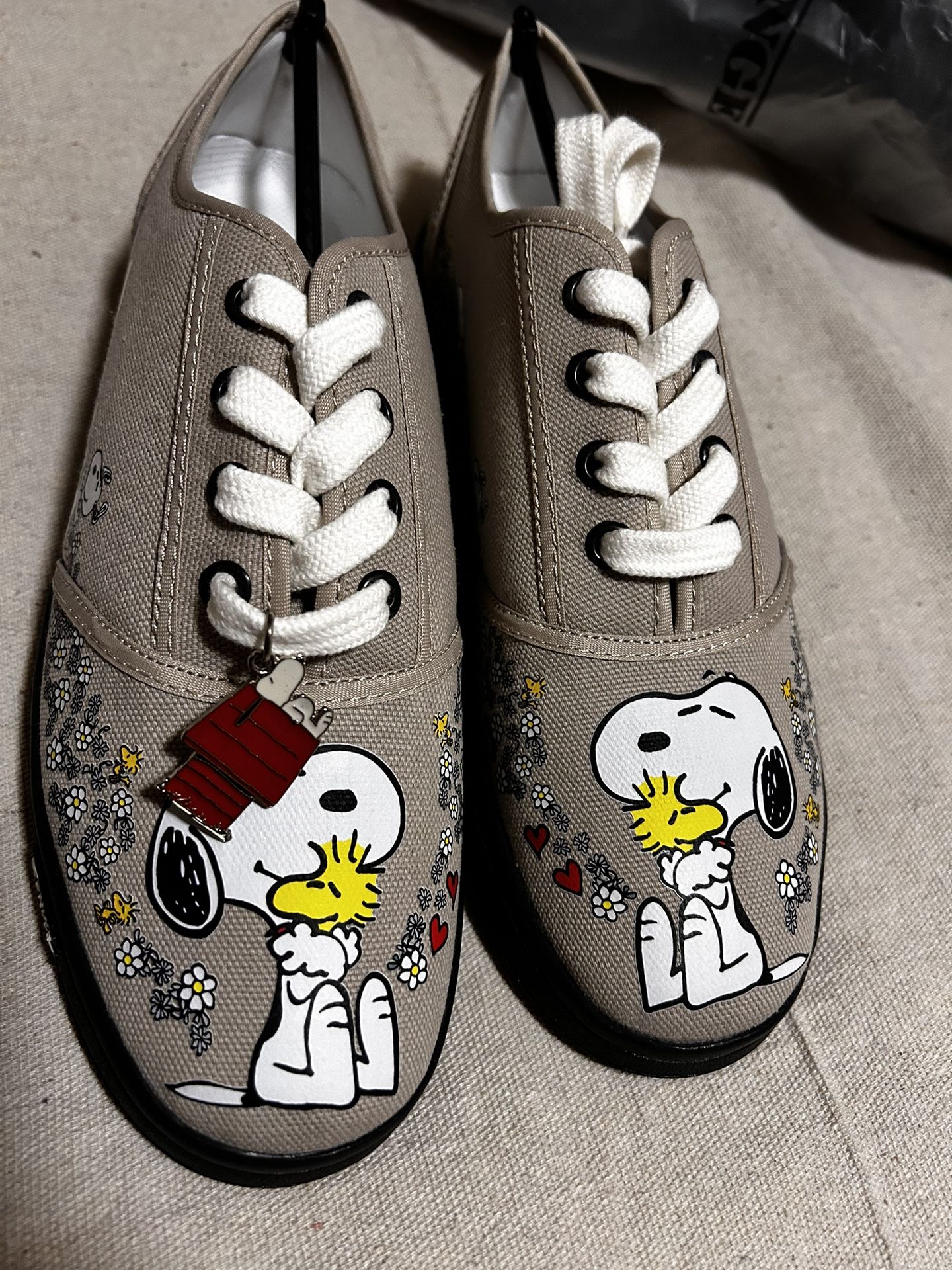 Snoopy And Woodstock Shoes