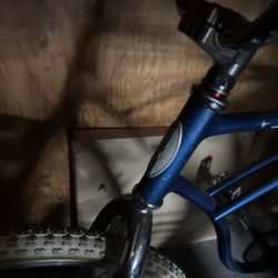 Schwinn 