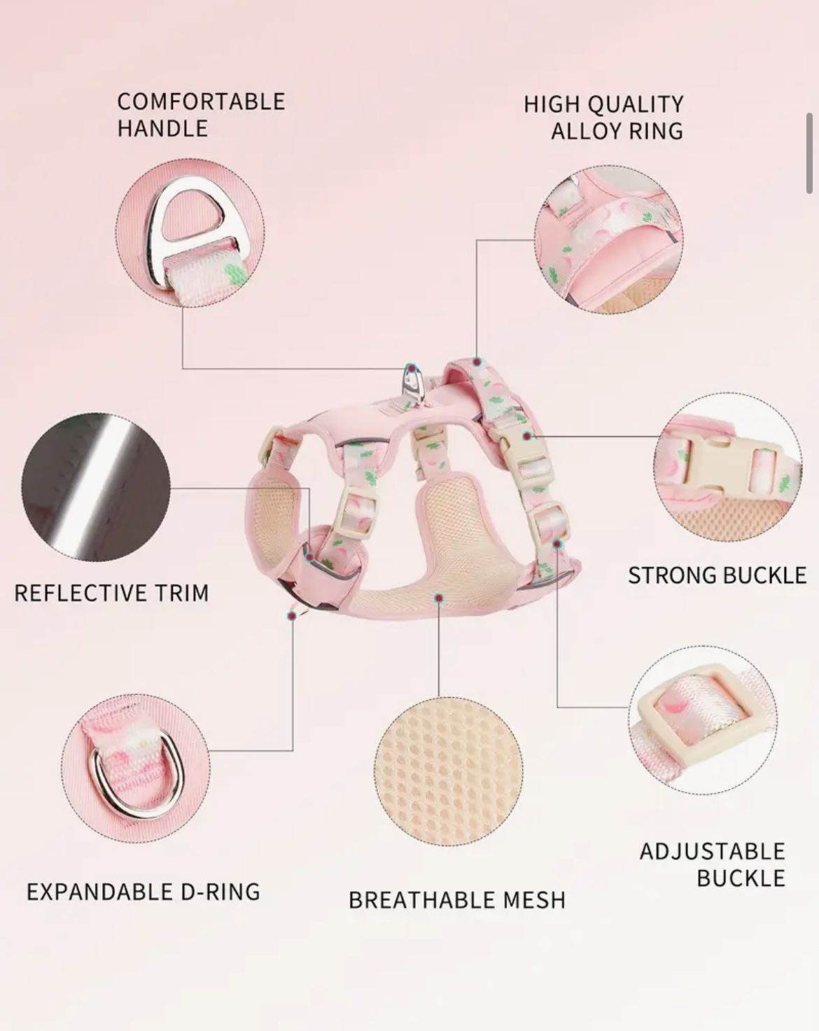 Summer Fruit Delight Dog Harness And Leash 