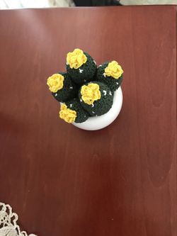 Cactus plant handmade Cotton
